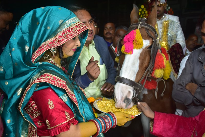 Wedding car and baraat transport